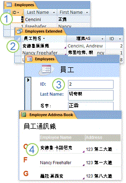 用在查詢、表單和報表中的資料表資料
