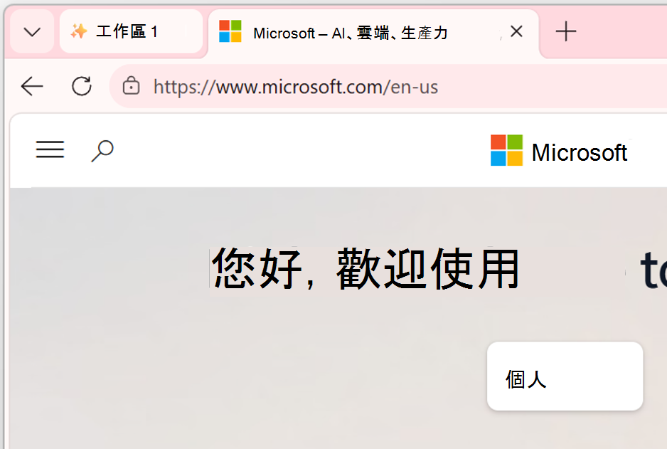 工作區視窗的螢幕擷取畫面。
