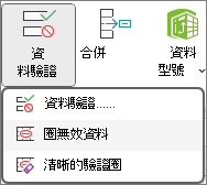 功能區上的圈選錯誤資料