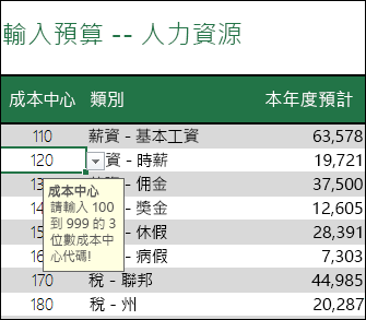 使用者選擇儲存格時會顯示輸入訊息