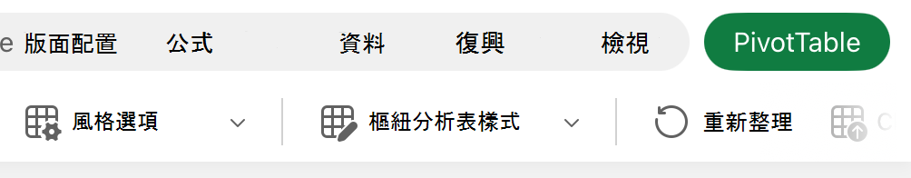 iPad 上的 [樣式選項] 按鈕