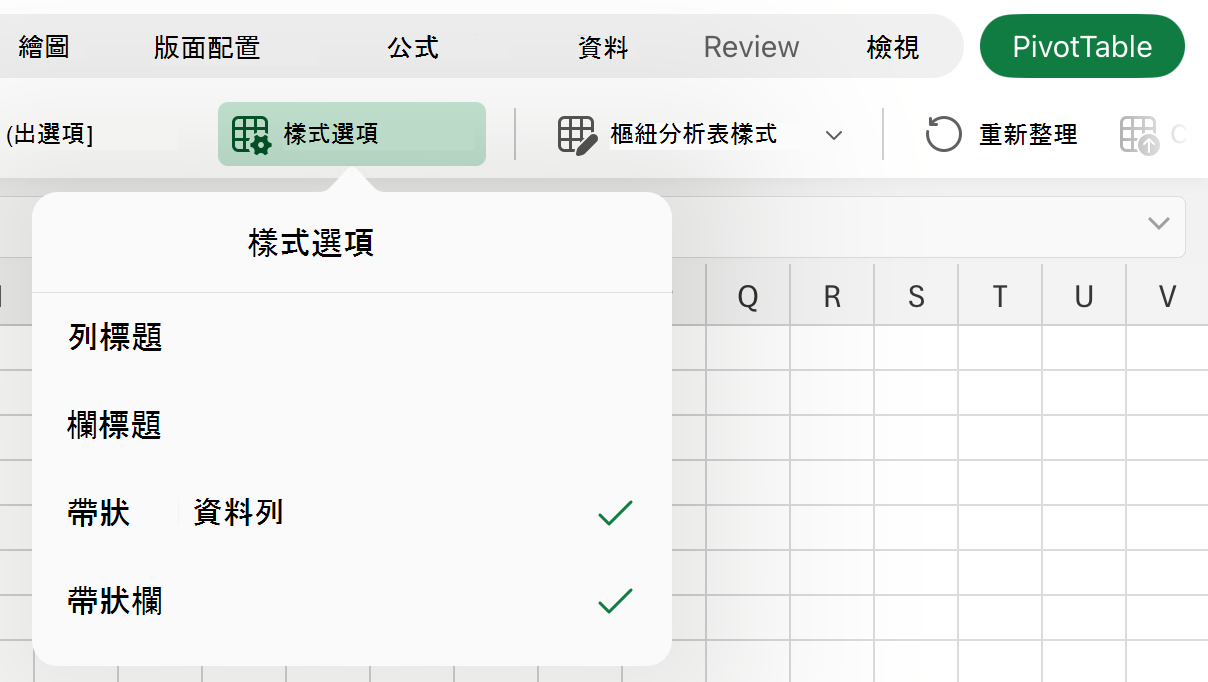 iPad 上的 [樣式選項] 下拉式清單