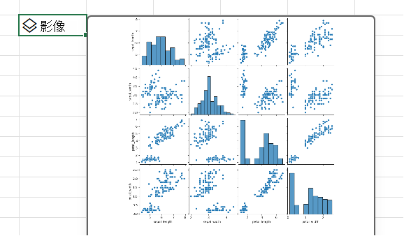 使用 Excel 中的 Python 建立具有 Seaborn 文件庫的配對繪圖。