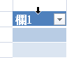 表格欄位選取箭號