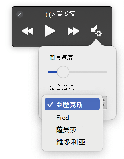 沈浸式閱讀程式大聲朗讀功能顯示的四個語音選取選項