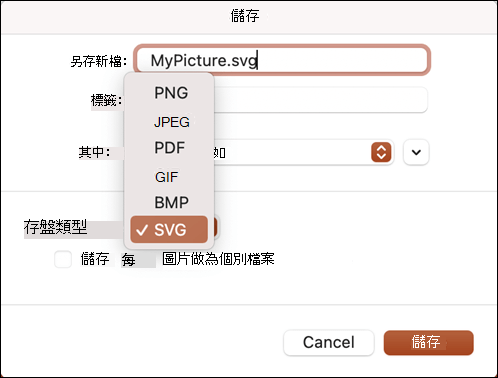 Mac 版 PowerPoint 2021 中已選取 SVG 選項的 [另存新檔] 對話方塊
