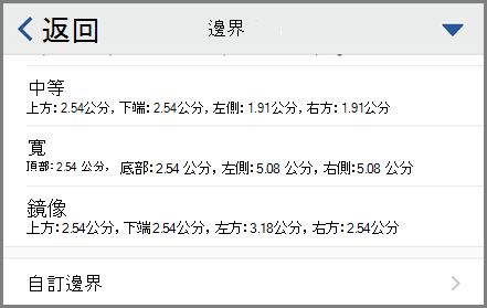 顯示邊界選項