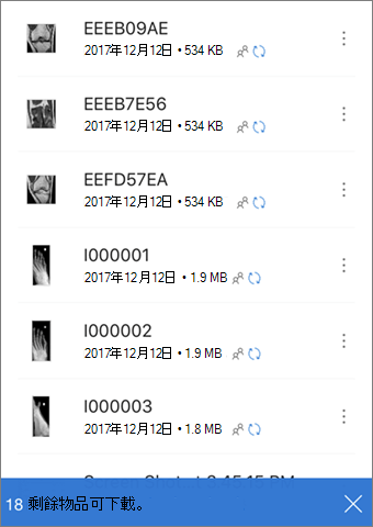 指出待下載檔案的 UI 文字