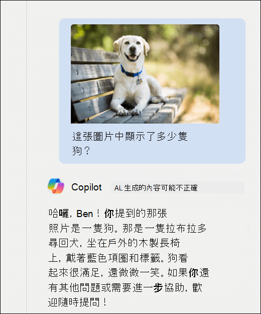 Copilot 的截圖。一張狗的圖片被貼上，並附上提示：這張圖片中顯示了多少隻狗？Copilot 已準確回應並提供圖片的額外描述。
