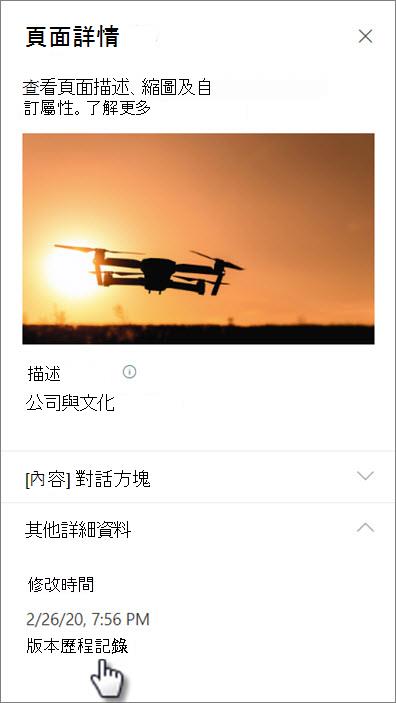 頁面細節下方版本歷史連結的截圖