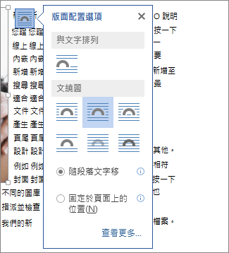 [版面配置選項] 圖示