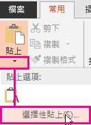 [選擇性貼上] 功能表