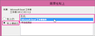 選擇 Microsoft Excel