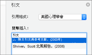 含引文清單的 [引文] 窗格。